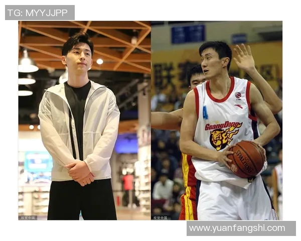 任何明星打篮球视频
