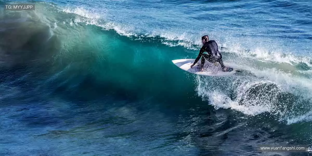 🎯精准数据，深度解析赛事背后的故事！